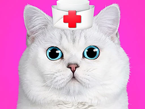 Katzenhaustierarzt Zahnarzt